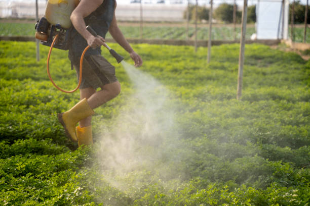 Best Local Pest Control Services  in Lorain, OH