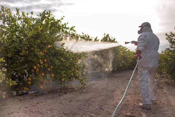 Pest Control for Restaurants in Lorain, OH